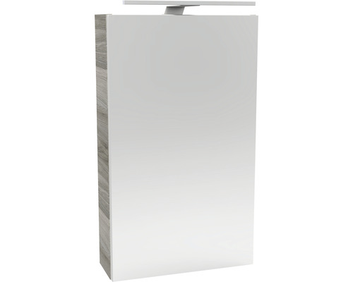 Armoire de toilette FACKELMANN SBC Small Bathroom Collection 400 x 16,2 x 680 mm frêne commun 1 porte led