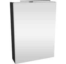 Spiegelschrank FACKELMANN SBC Small Bathroom Collection 500 x 16,2 x 680 mm anthrazit 1-türig LED rechts