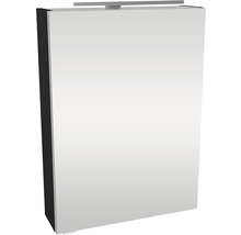 Spiegelschrank FACKELMANN SBC Small Bathroom Collection 500 x 16,2 x 680 mm anthrazit 1-türig LED rechts