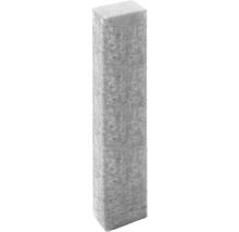 Pavé gris