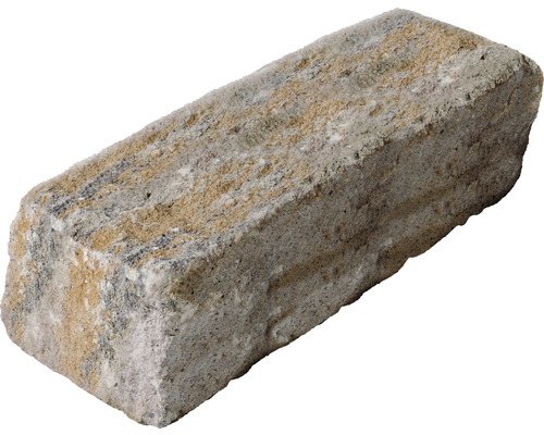 Pierre de construction iBrixx Passion calcaire coquillier 50 x 16,5 x 15 cm