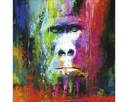 Leinwandbild Original Colourful Gorilla 90x90 cm