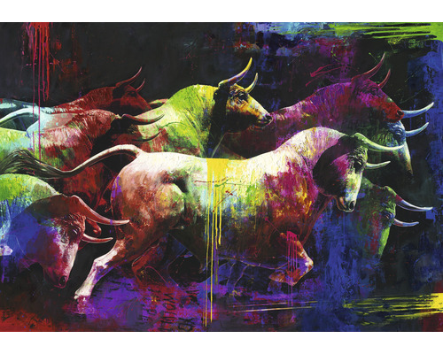 Leinwandbild Original Colourful Bull II 70x100 cm
