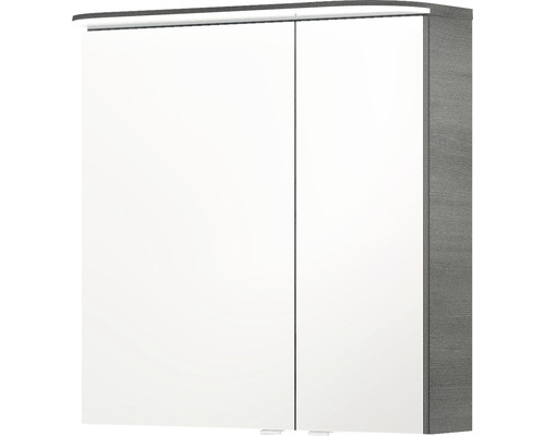 Armoire de toilette avec deux portes pour la salle de bain