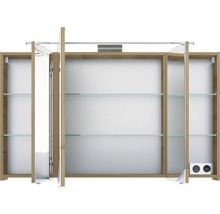 Armoire de toilette avec étagères et éclairage