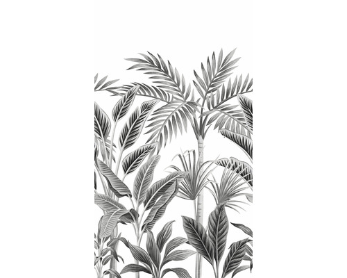 Illustration tropischer Pflanzen, darunter Palmen und Bananenstauden