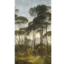 Papier peint paysage forestier avec de grands arbres