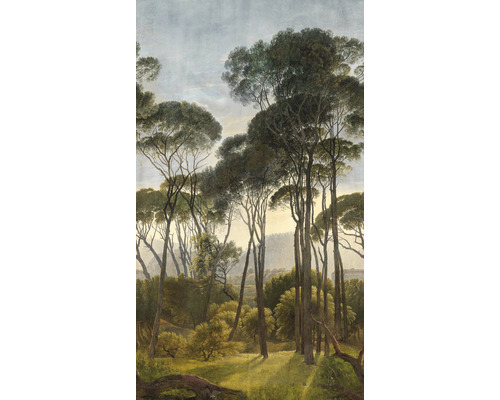 Papier peint paysage forestier avec de grands arbres