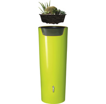 Cuve de collecte d'eau de pluie COLOR 2en1, 350 l, apple