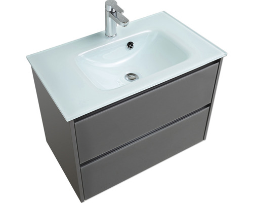 Meuble sous-vasque Pelipal xpressline 3261 gris avec façade vitrée lxhxp 75 x 52,9 x 42 cm