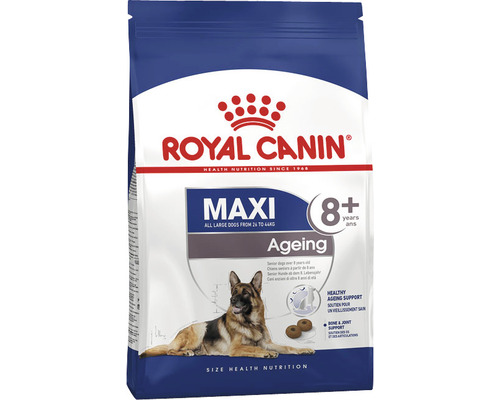 Croquettes pour chiens ROYAL CANIN SHN Maxi Ageing +8 3 kg