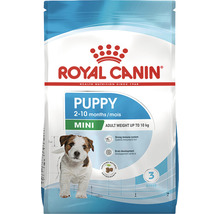 Nourriture pour chiens Royal Canin Mini Junior, 0,8 kg-thumb-1