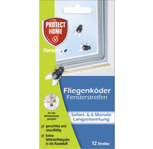 Fliegenköder Fensterstreifenpackung mit 12 Streifen zum sofortigen und sechsmonatigen Schutz vor Fliegen