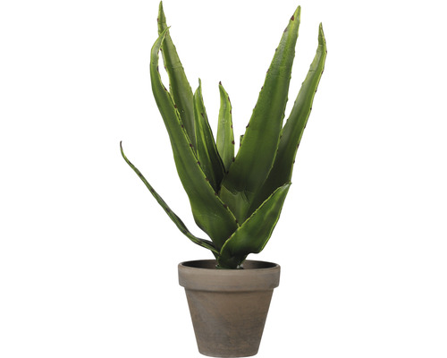Kunstpflanze Mica Aloe Vera grün im Topf Mica Ø 16 cm H 30 cm