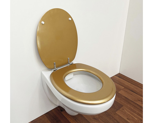 Abattant WC Abattant Toilette Doré avec Ralentissement Résine  Urée-Formaldéhyde Dessus Ultra Résistant Fixe U/V/O Forme Compatible  Couvercle Abattant WC,Gold-40~48cm*33~38cm : : Bricolage