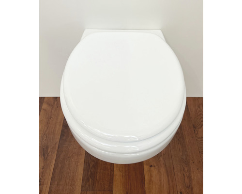 Weißes Wand-WC mit geschlossenem Deckel vor einer Wand