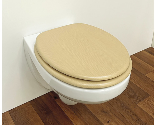 WC suspendu avec siège en bois
