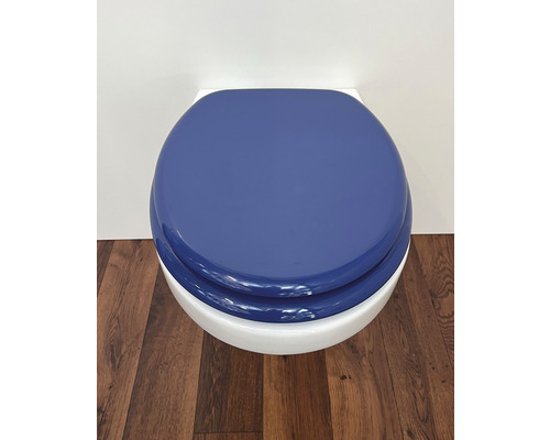 Geschlossene Toilettenschüssel mit Deckel