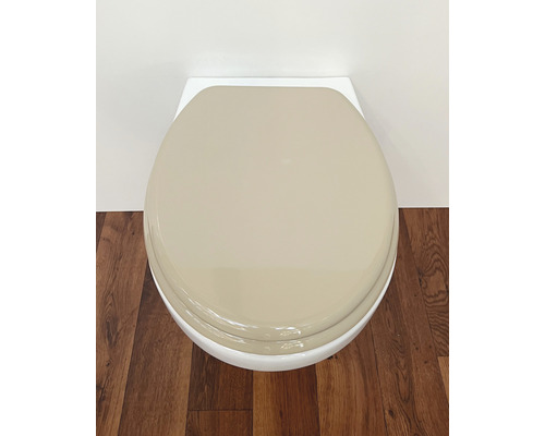 Aufnahme einer Toilette mit geschlossenem Toilettendeckel