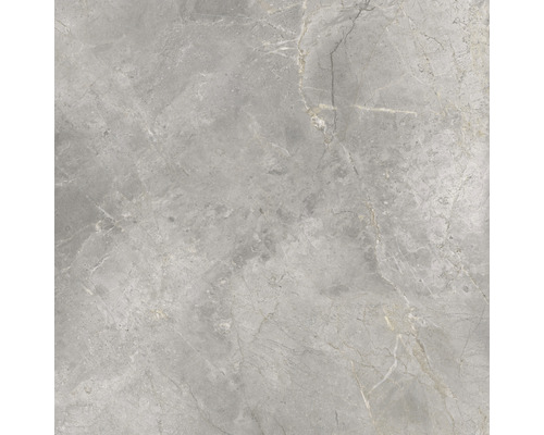 Carrelage sol et mur en grès cérame fin Lido 119,7 x 119,7 x 0,8 cm argent mat rectifié