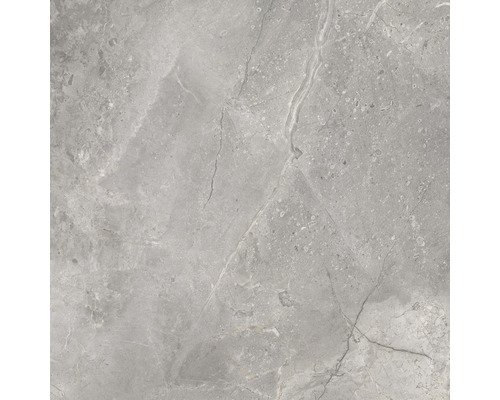 Carreau de sol gris avec structure en marbre