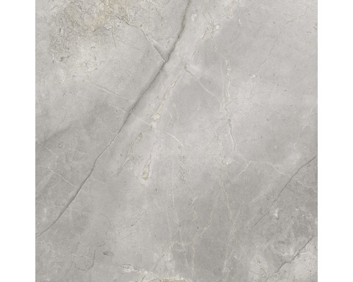 Carrelage de sol gris aspect marbre.