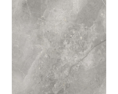 Carrelage de sol gris aspect marbre
