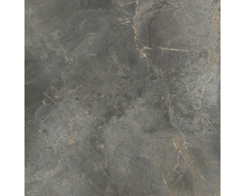 Carrelage sol et mur en grès cérame fin Lido 119,7 x 119,7 x 0,8 cm graphite brillant rectifié