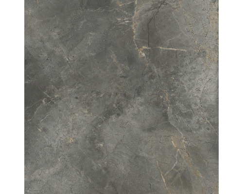 Feinsteinzeug Wand- und Bodenfliese Lido 119,7 x 119,7 x 0,8 cm graphit glänzend rektifiziert Feinsteinzeug Wand- und Bodenfliese Lido 119,7 x 119,7 x 0,8 cm graphit glänzend rektifiziert