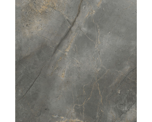 Carrelage de sol gris avec structure en marbre