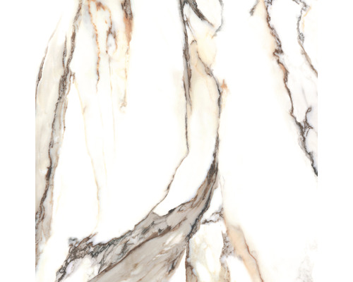 Échantillon d''un carreau de sol avec aspect marbre