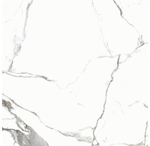 Feinsteinzeug Wand- und Bodenfliese Calacatta 119,7 x 119,7 x 0,8 cm weiß poliert rektifiziert