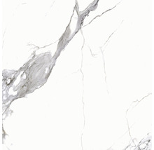 Feinsteinzeug Wand- und Bodenfliese Calacatta 119,7 x 119,7 x 0,8 cm weiß poliert rektifiziert