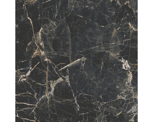 Carrelage sol et mur Carrelage mural en grès-cérame fin Marquina 119,7 x 0,8 cm doré brillant rectifiée