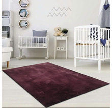 Une chambre d''enfant avec un tapis bordeaux, des lits de bébé et des étagères.