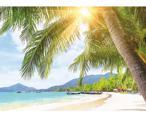 Scène d''une plage tropicale avec des palmiers et la lumière du soleil