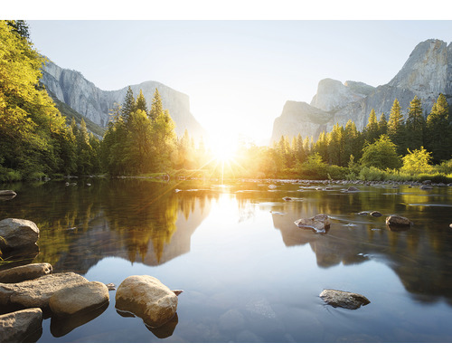 Paysage fluvial avec montagnes et arbres au matin