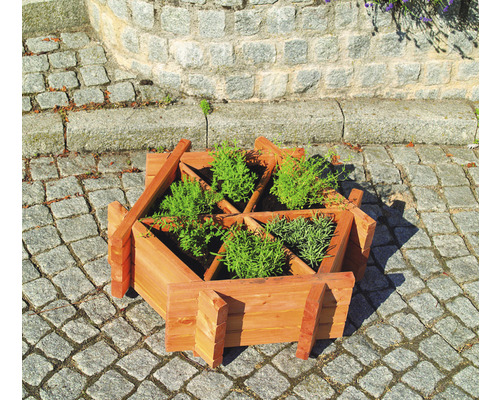 Jardinière surélevée, parterre d'herbes promadino Eva avec film 72 x 72 x 27 cm marron miel