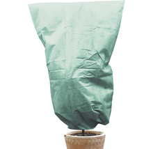 Housse de protection des plantes sur une plante en pot