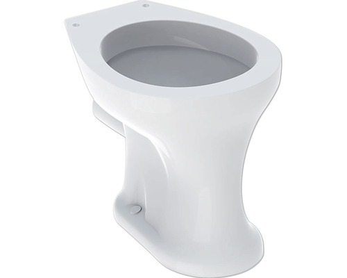 WC à poser GEBERIT Kind Bambini cuvette à fond plat avec bride de rinçage blanc sans abattant WC 211500000