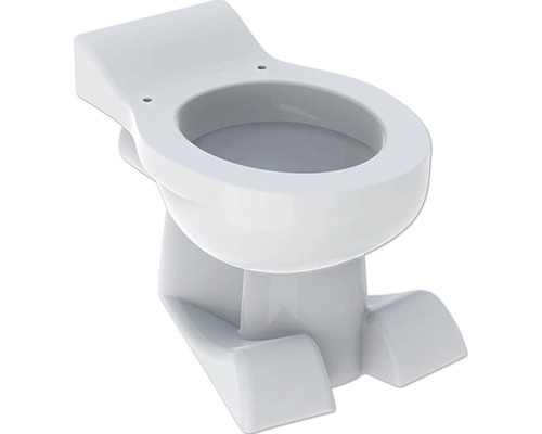 WC pour enfants GEBERIT Kind Bambini cuvette à fond creux avec bride de rinçage blanc sans abattant WC 212000000