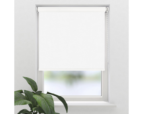 Fenêtre avec un store enrouleur blanc