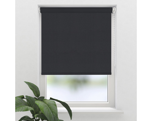 Fenêtre avec store enrouleur noir