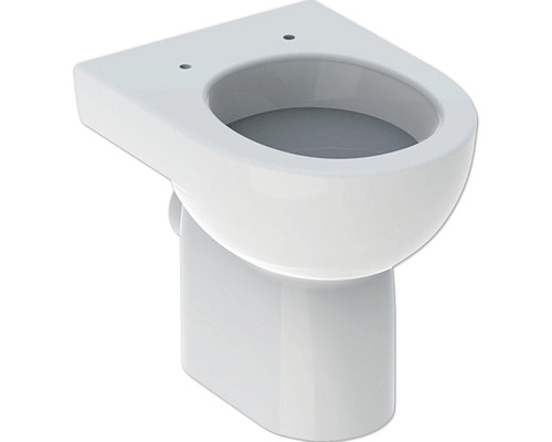 WC à poser GEBERIT Renova cuvette à fond plat avec bride de rinçage blanc KeraTect® laque spéciale sans abattant WC 203010600
