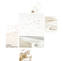 Collage mit Strandmotiven: Seevögel, Strandhafer, Muschel und Pusteblume