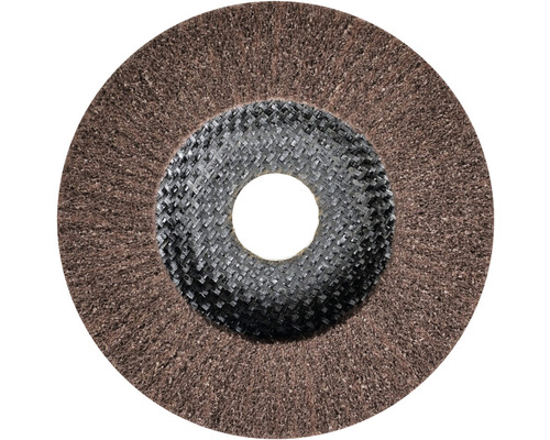 Fächerscheibe für Schleifarbeiten