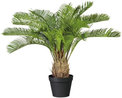 Palmier artificiel Cycas h 60 cm vert