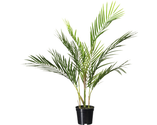 Palmier artificiel palmier d'intérieur h 70 cm vert