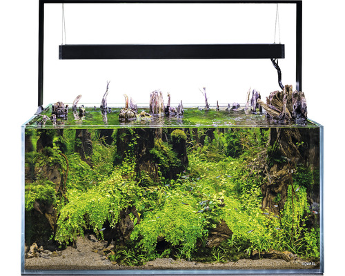 Aquarium AQUAEL UltraScape 90 avec éclairage LED env. 243 l verre optique, verre blanc, sans meuble bas forest