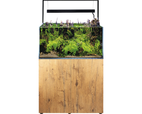 Aquarium complet avec meuble bas et plantation